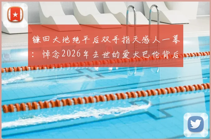 镰田大地绝平后双手指天感人一幕：悼念2026年去世的爱犬巴伦背后故事与品种揭秘