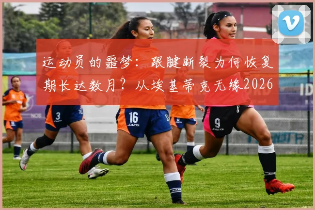 运动员的噩梦：跟腱断裂为何恢复期长达数月？从埃基蒂克无缘2026世界杯说起